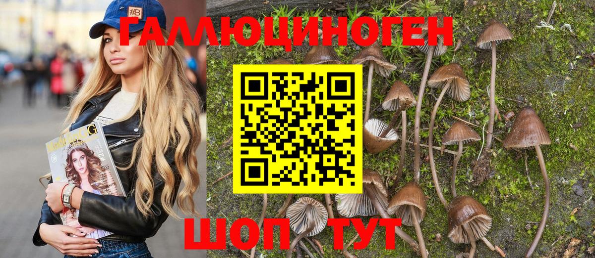 Псилоцибиновые грибы Psilocybine cubensis  Вход с VPN  Чита  Псилоцибиновые грибы мухоморы 