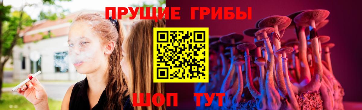 Псилоцибиновые грибы GOLDEN TEACHER Чита