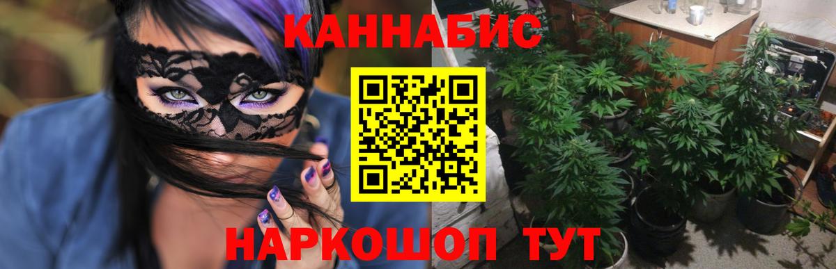 Марихуана конопля Чита